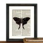 Butterfly Moth Art Print - ..