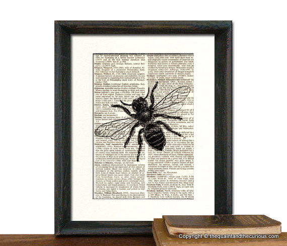 Bee Art Print - Mothers Day Fathers Day Graduation Gift Present - Home Office Decor MATTED