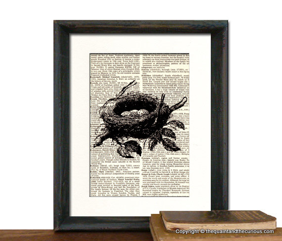 Bird Nest Art Print - Mothers Day Fathers Day Graduation Gift Present - Home Office Decor MATTED